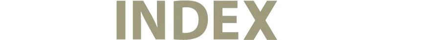 CITY INDEX